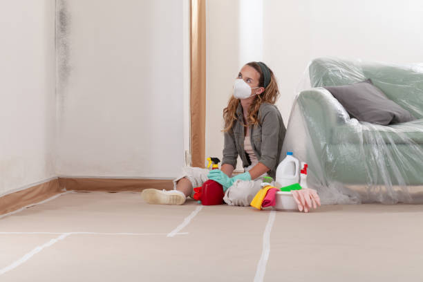 Reliable Mold Testing contractor in Shiloh, PA by WQB Mold Removal